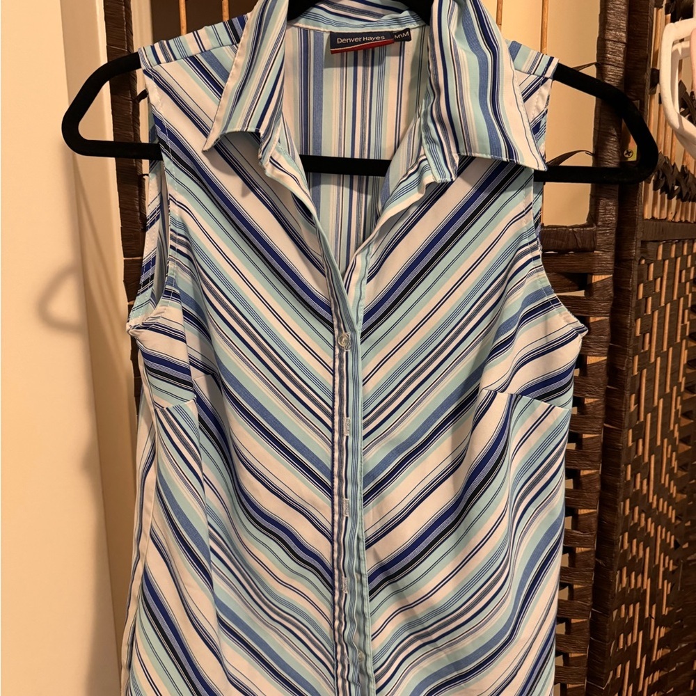 Denver Hayes Blue Striped Women's Top